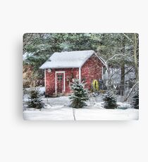 Little Red Garden Shed Canvas Print