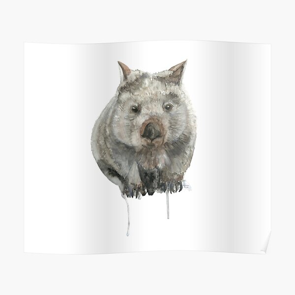 Common Wombat Poster