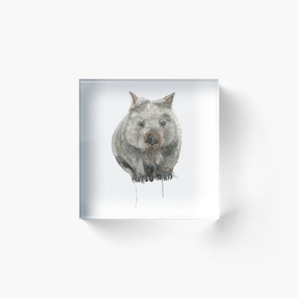 Common Wombat Acrylic Block