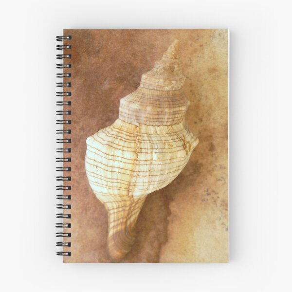 Item preview, Sounds of the Sea designed and sold by Holly Kempe.