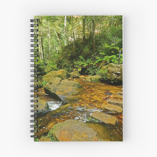 Item preview, Stepping Stones designed and sold by Terry Everson.