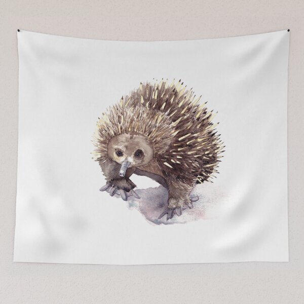 Item preview, Australian Echidna Watercolour designed and sold by WinterOwls.