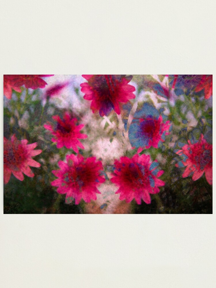 Alternate view of Abstract flowers Photographic Print