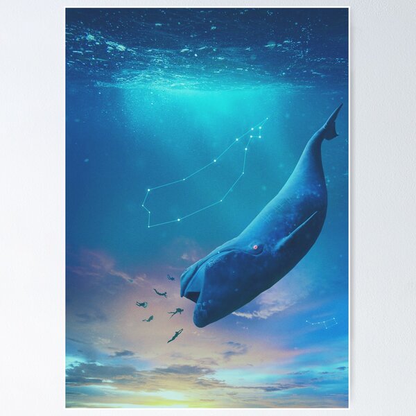 Blue Whale Poster