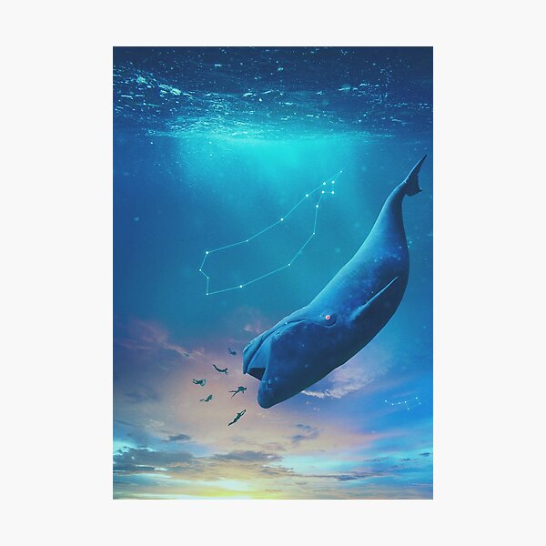 Item preview, Blue Whale designed and sold by Ahmed Emad Eldin.