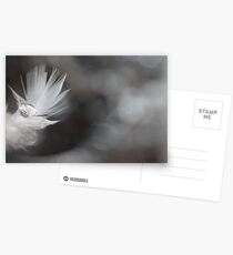 "Wispy" Postcards