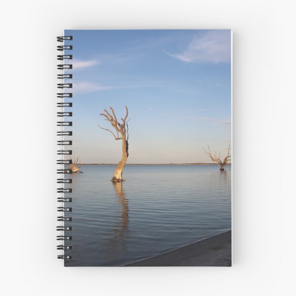 Item preview, Early morning on Lake Bonney designed and sold by Leanne Davis.