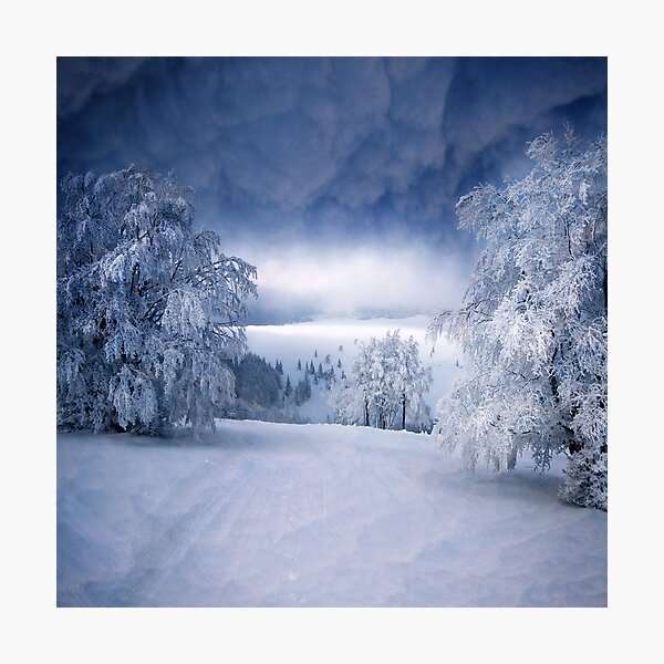 Cotton World Impression photo