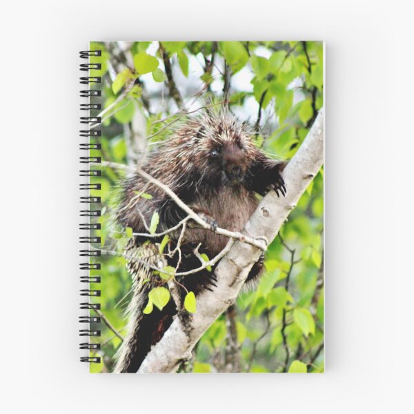 Item preview, A Reservation for One designed and sold by Kathleen Daley.
