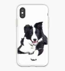 Border Collie on a white background iPhone Case