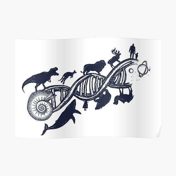 Evolution Poster