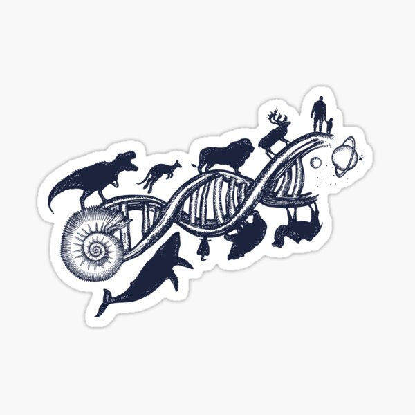 Evolution fishing Bumper Sticker Evolution fishing man Sticker (Bumper)