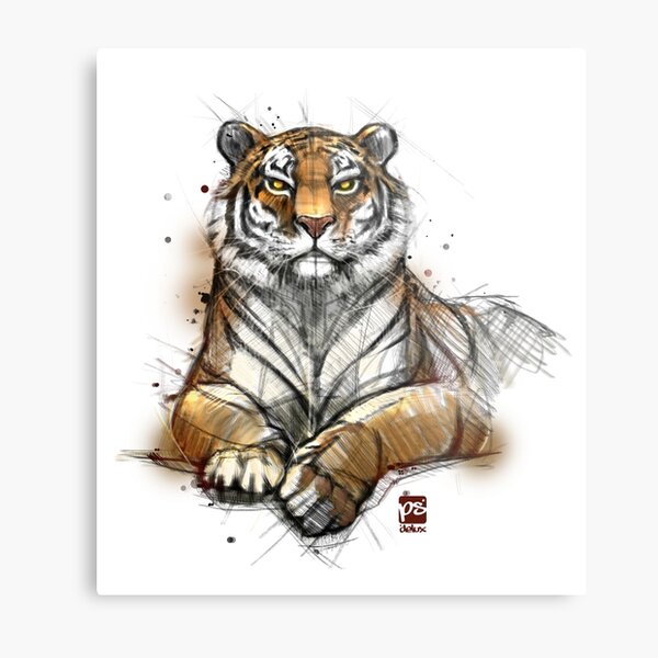 Tiger colored sketch Metal Print
