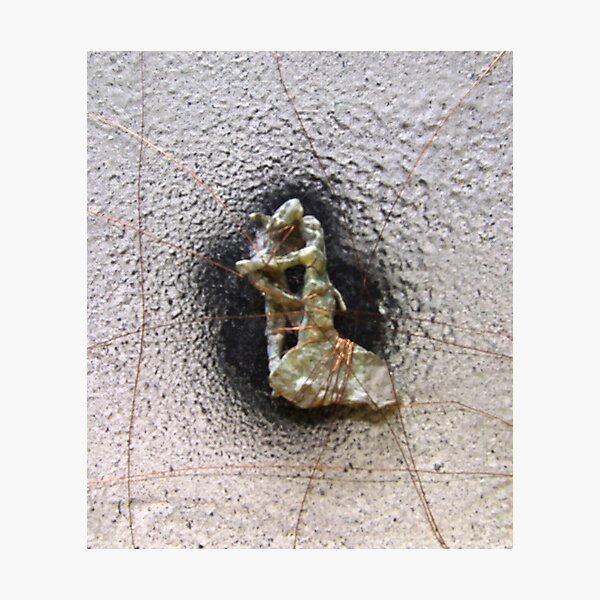 Lithium Photographic Print