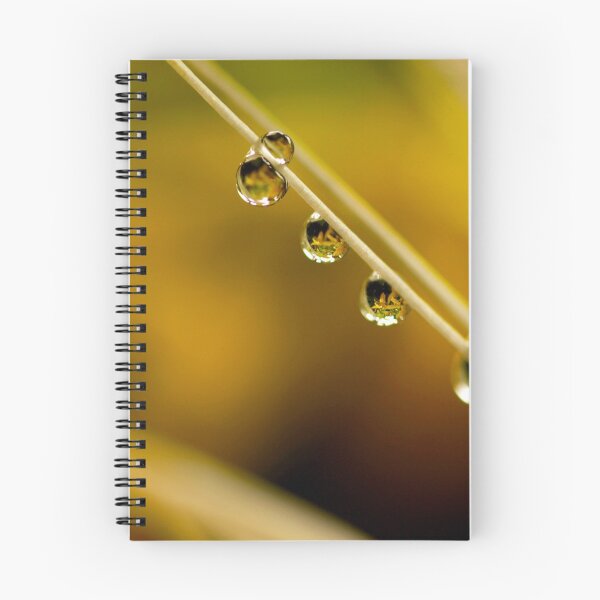 Item preview, droplets in suspense designed and sold by lensbaby.