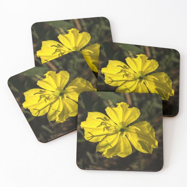 Item preview, Unfurling at Sunset - Night Blooming Evening Primrose designed and sold by Georgia Mizuleva.