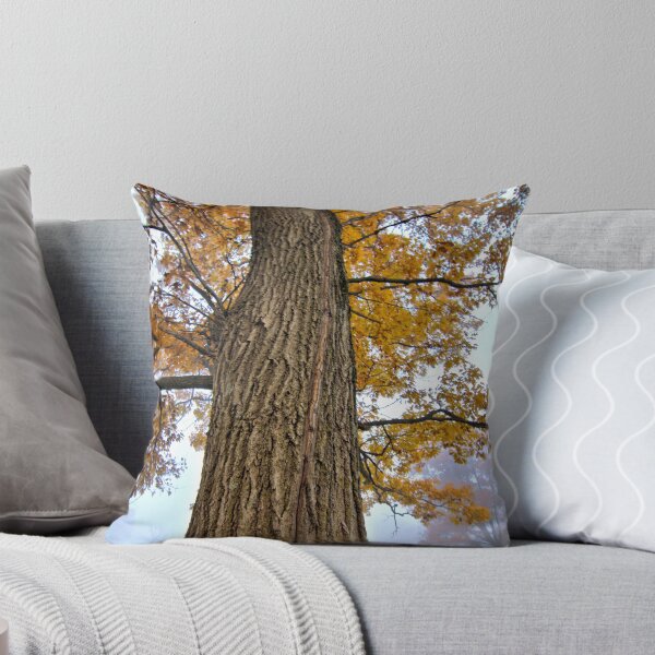 Item preview, Oak View 2 designed and sold by LynyrdSky.
