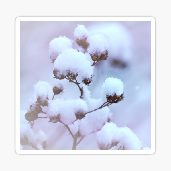 Item preview, The Winter's Snowballs designed and sold by Sherry Hallemeier.
