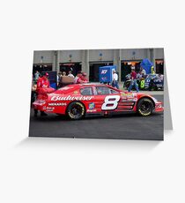 Dale Earnhardt Jr. NASCAR Budweiser Greeting Card