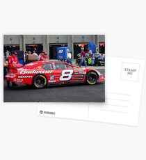 Dale Earnhardt Jr. NASCAR Budweiser Postcards