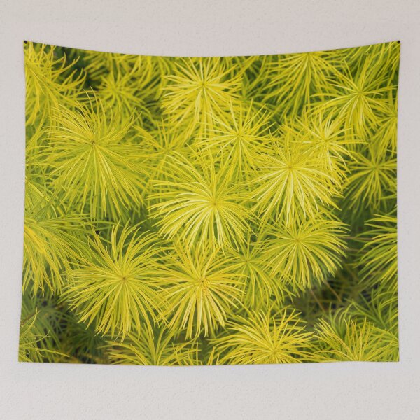 Item preview, Fascinating Bottlebrush Grasses designed and sold by Georgia Mizuleva.