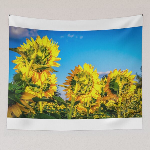 Item preview, Sunflowers 4 designed and sold by Robert Alsop.