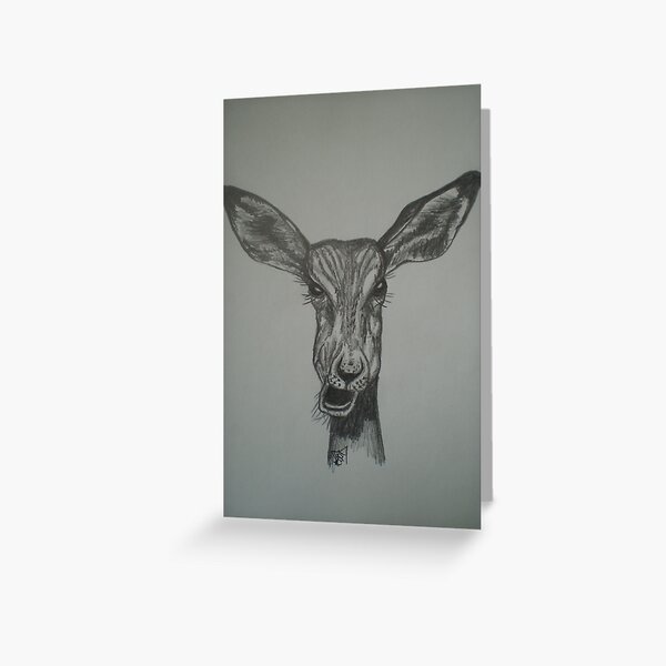 Impala with attitude. My 1st pencil drawing Greeting Card