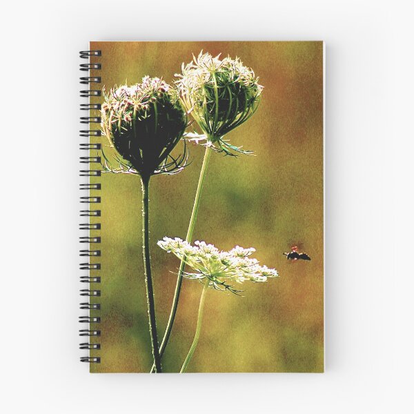 Item preview, Queen Anne's Lace Digital 2 designed and sold by Gilda Axelrod.