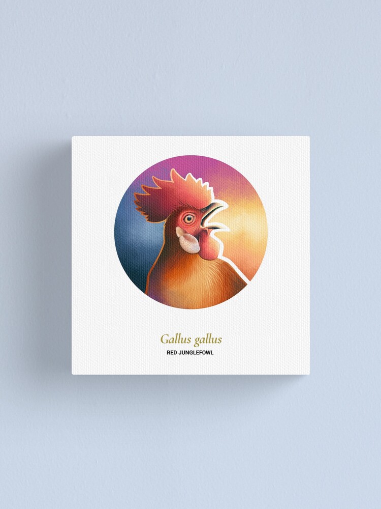 Alternate view of The Circles of Life: Red Junglefowl Canvas Print