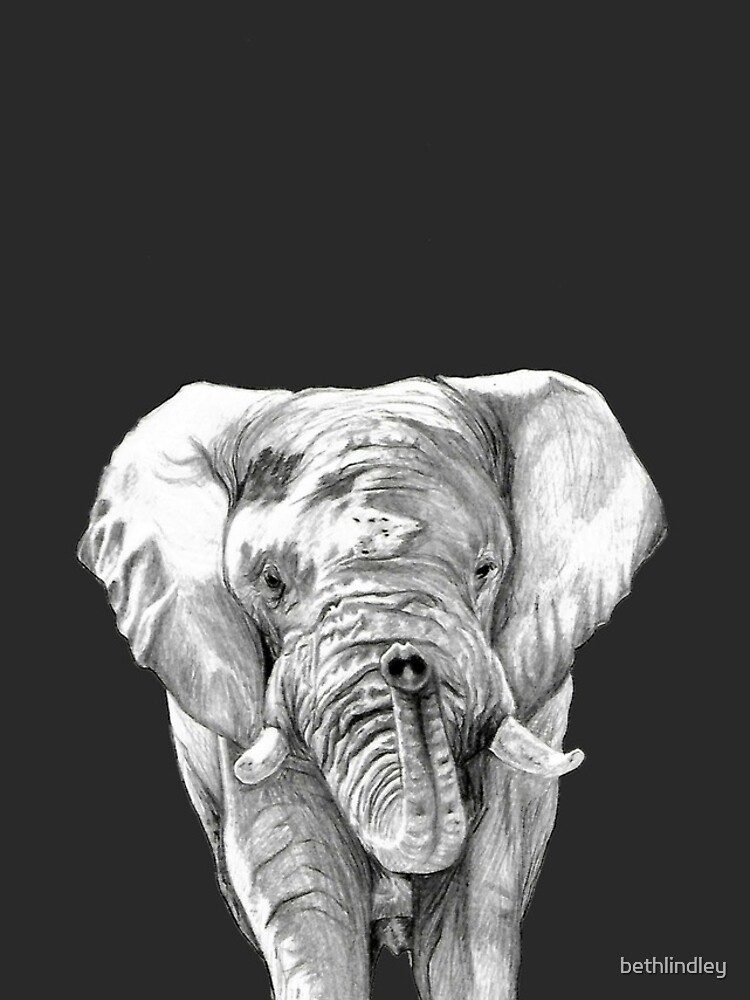African Elephant in Graphite by bethlindley