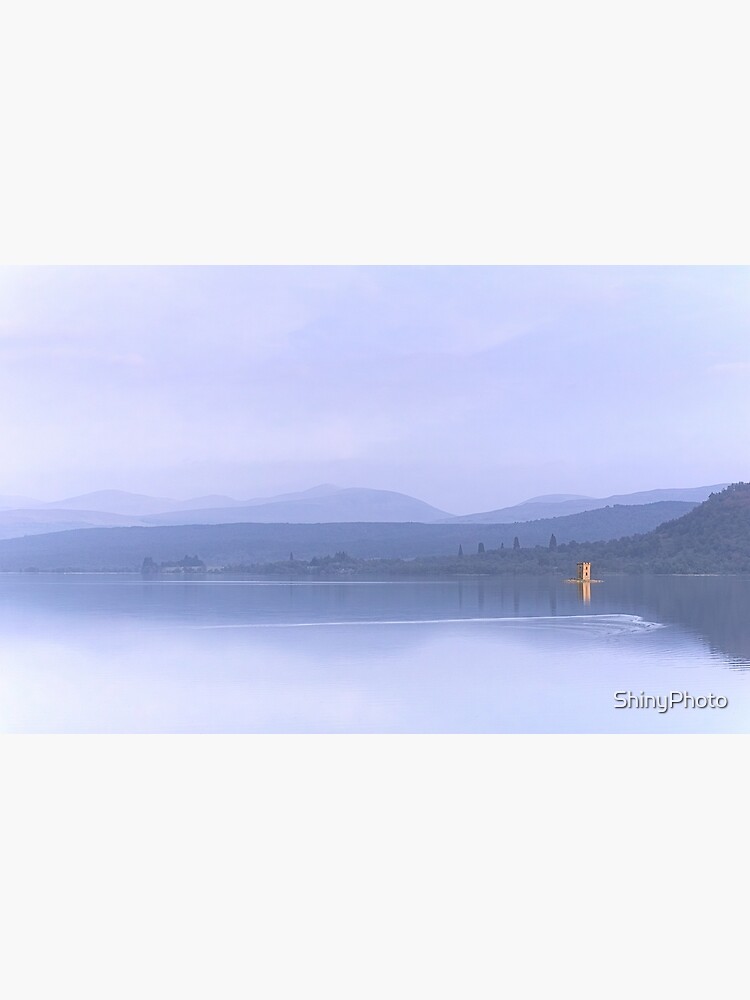 Two Elegances by ShinyPhoto