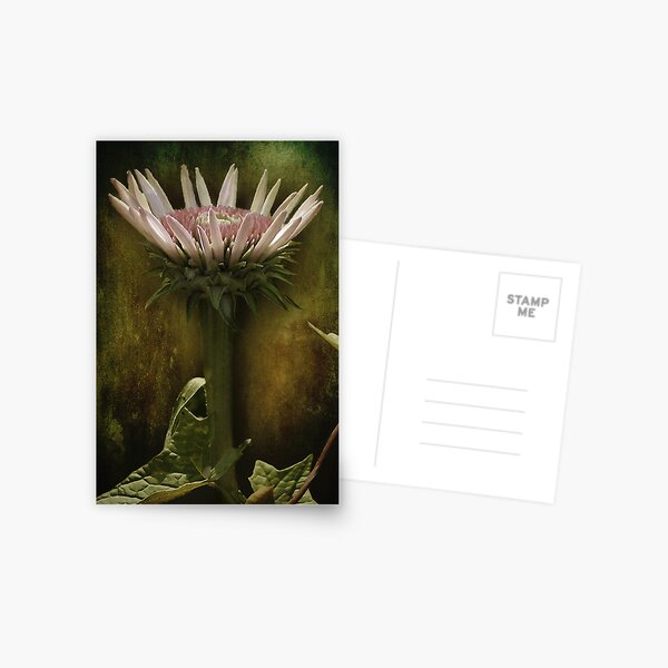 Rise Above Postcard