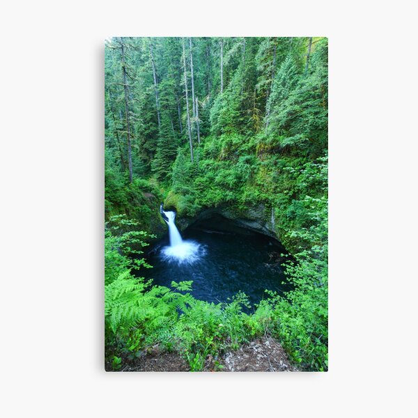 Punch bowl falls V Canvas Print
