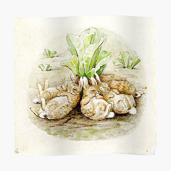 L'histoire des lapins flopsy - Beatrix Potter Poster