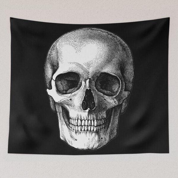 Item preview, Vintage Human Skull Medical Illustration 2 (opaque) designed and sold by avidfan2000.