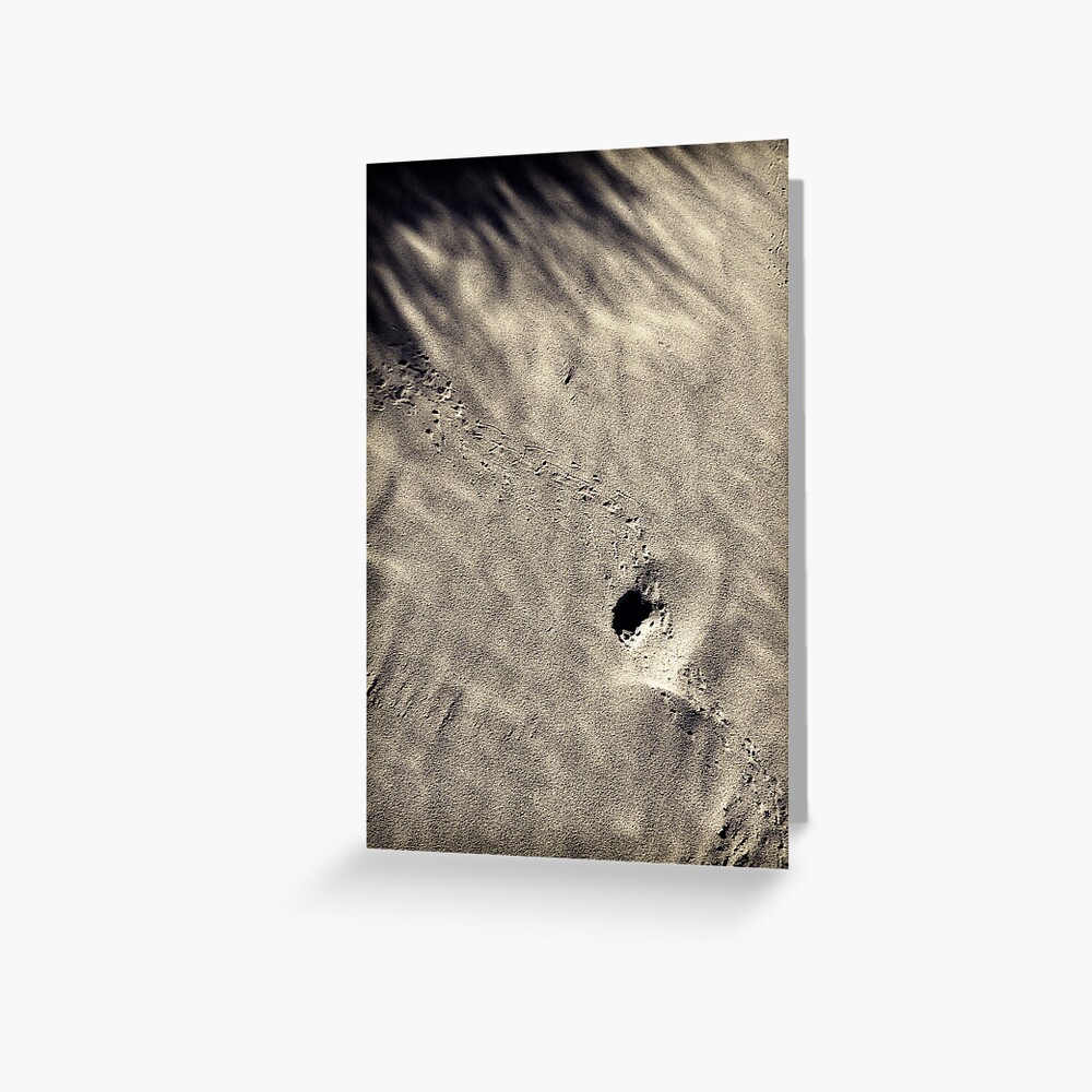 Afternoon stroll Greeting Card