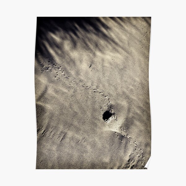 Afternoon stroll Poster