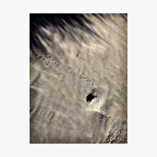 Afternoon stroll Photographic Print
