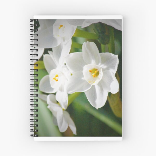 Item preview, Jolly jonquils designed and sold by xtie.