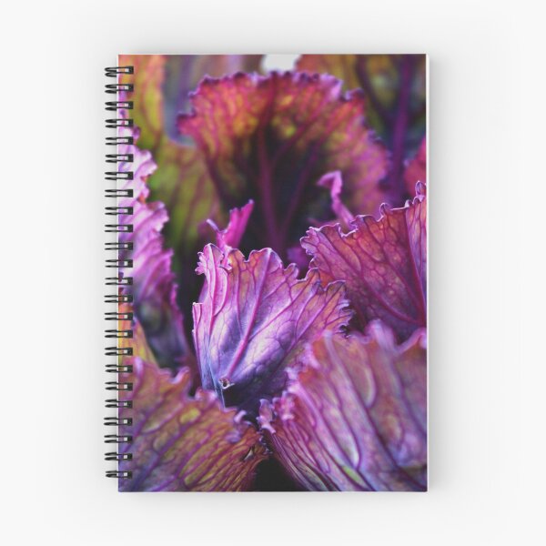 Item preview, Ornamental Cabbage Rainbow designed and sold by Gilda Axelrod.