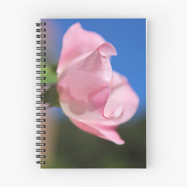 Item preview, Pink Rose Blue Sky designed and sold by Gilda Axelrod.