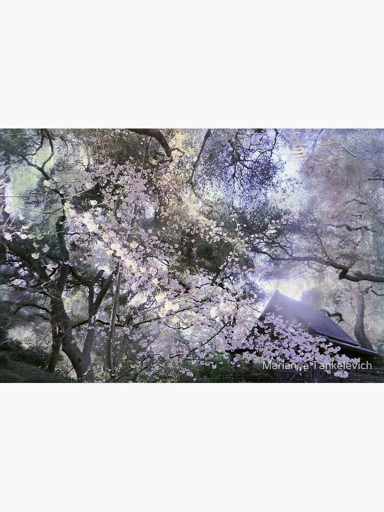 japanese garden by mariannat