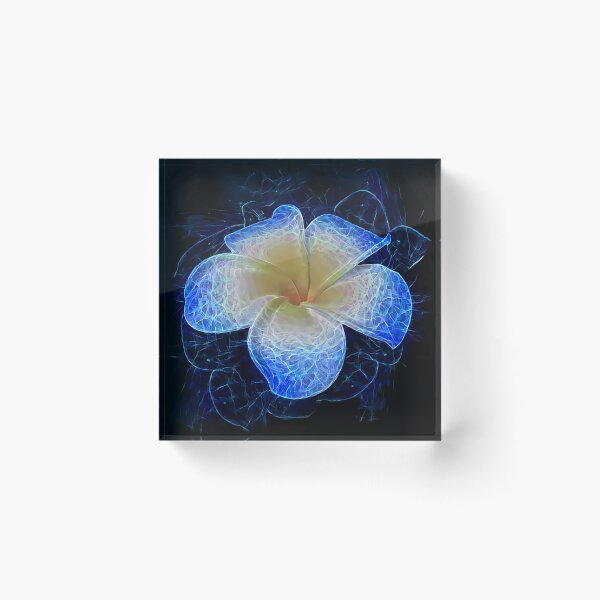 Artikelvorschau, Frangipani aufhellen entworfen und verkauft von Kestrelle.