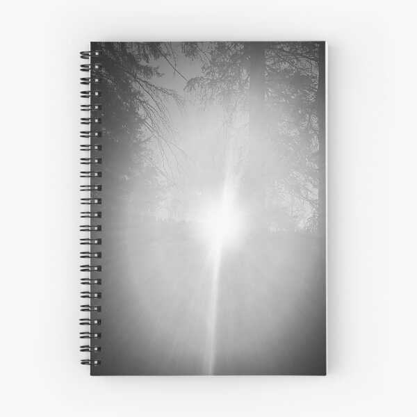 Item preview, Light in the trees designed and sold by WordofGod.