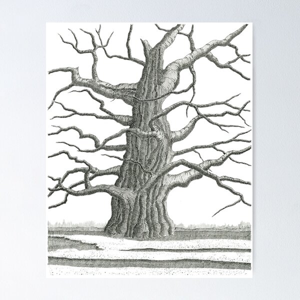 Item preview, Old Oak2 designed and sold by Jeno Futo.
