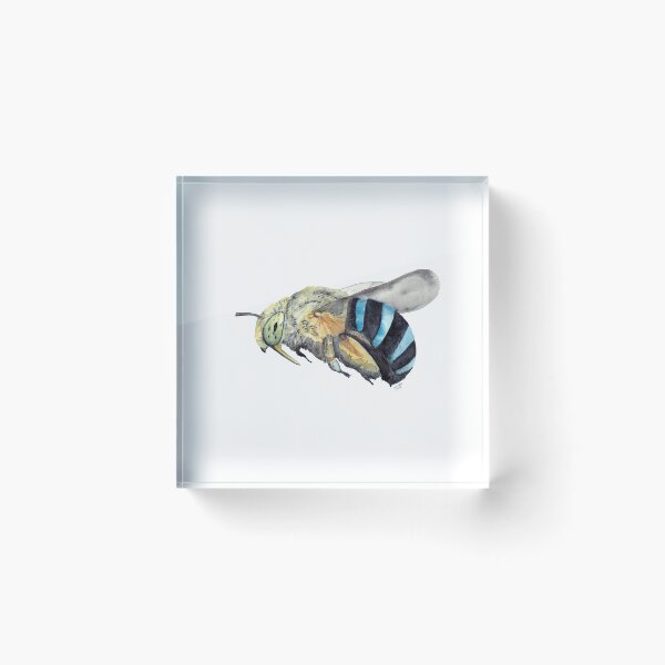 Item preview, Australian Blue-Banded Bee designed and sold by WinterOwls.
