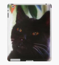 Joplin, RIP my friend iPad Case/Skin