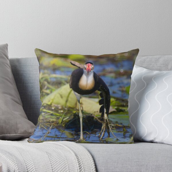 Item preview, Jacana Dance designed and sold by byronbackyard.