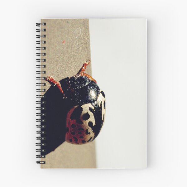 Item preview, A Beetle designed and sold by lumiwa.