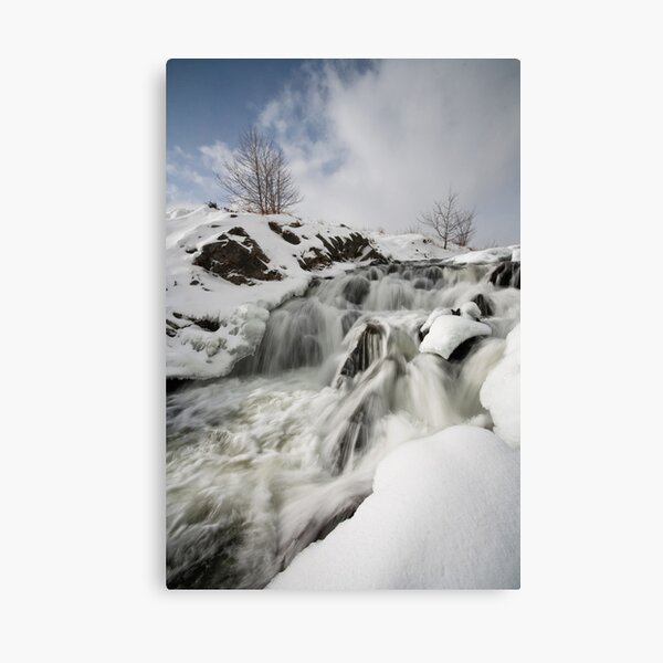 Winter's Embrace Canvas Print